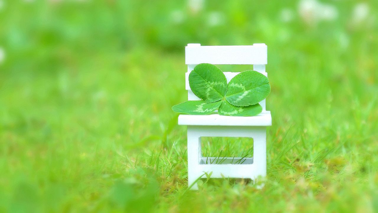 https://www.aroma-life.happy-clovers.com/wp-content/uploads/2020/09/CloverChairMV1280.jpg