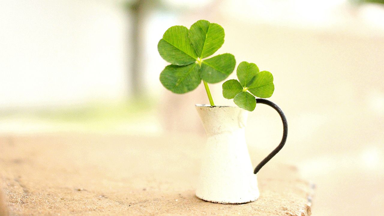 https://www.aroma-life.happy-clovers.com/wp-content/uploads/2020/09/PotCloverMV1280.jpg